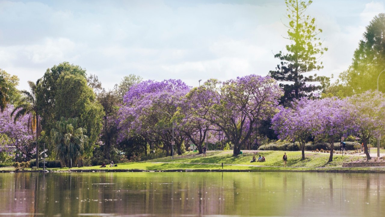 UQ 호수 (UQ Lakes) 및 자연환경 탐방